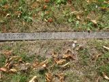 image of grave number 724033
